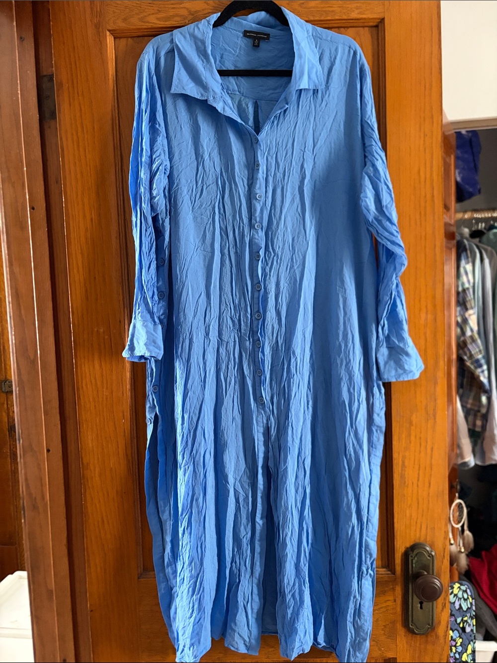 Universal Standard Nailah Button Down Tunic